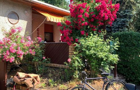 Grüner Bungalow am Kiebitzsee - Foto 1