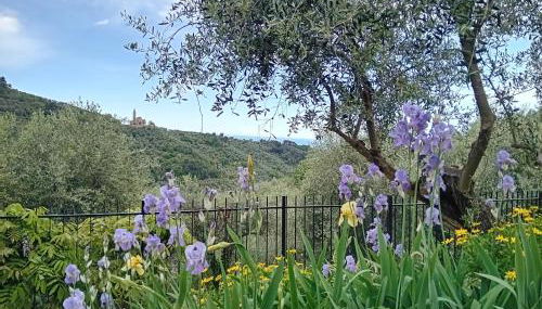 Le casasse - Foto 5, Garden