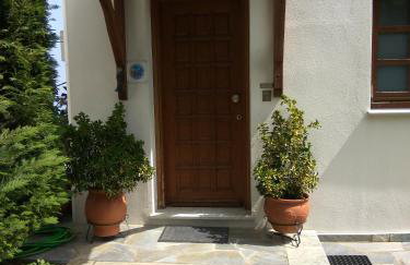 Guesthouse Papagiannopoulou - Foto 24