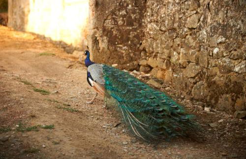 Agriturismo I Bonsi - Foto 34