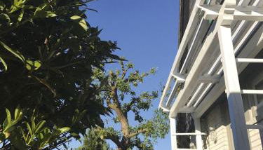 Luft Pur Ort - Photo 5