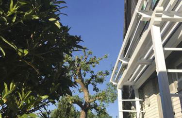 Luft Pur Ort - Photo 5