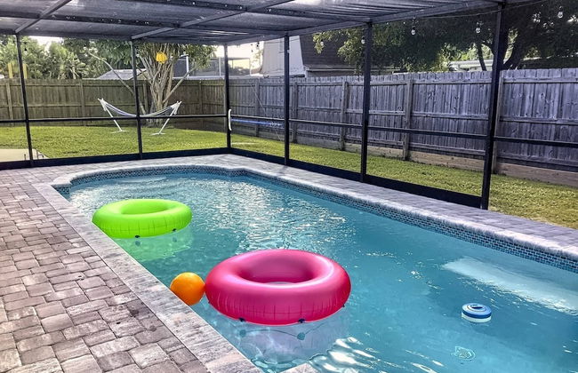 Happy Gecko - Foto 22