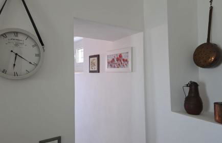 Trebiano a casa dei nonni - Foto 18