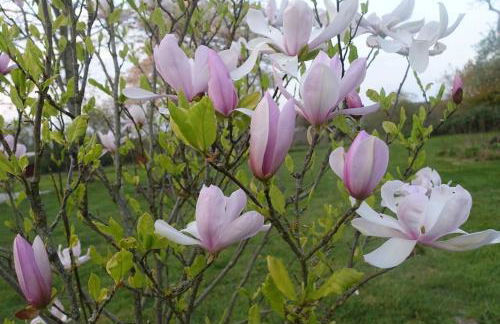 COHCO'ART GITES - Foto 30