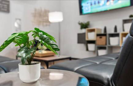 1B Luxury European Barndo FARM STAY Wedding Venue - Foto 22