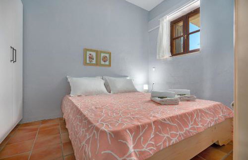 Myrtilo Waterline 2 (Orange) - Foto 10