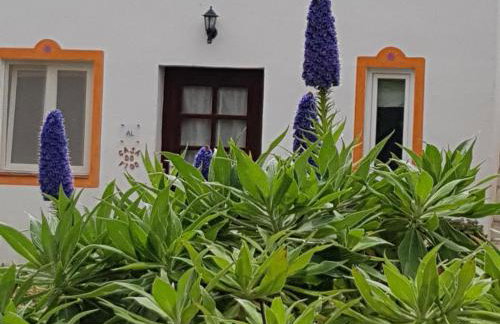 Quinta dos Cochichos – Country Houses - Foto 70
