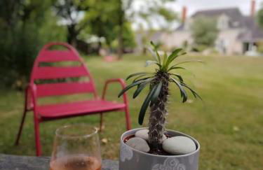 Agréable maison angevine - Foto 18