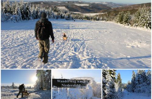 Fewo-BergSeeOase - Foto 39