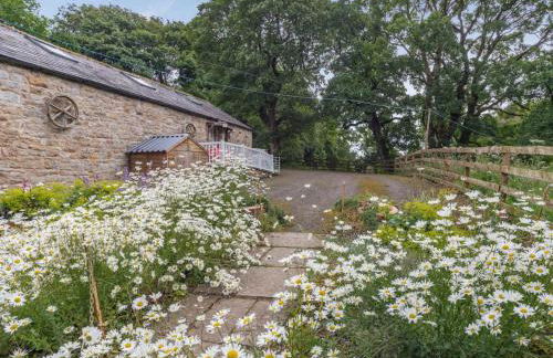 1 Bed in Brampton 73577 - Foto 18