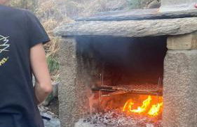 CASA RURAL PAJARICA en Sanabria - Foto 11