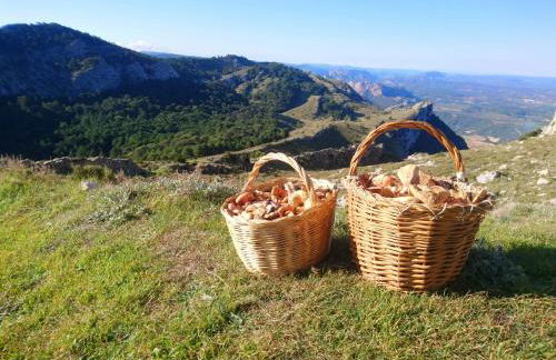 Cal Vientos - Foto 48