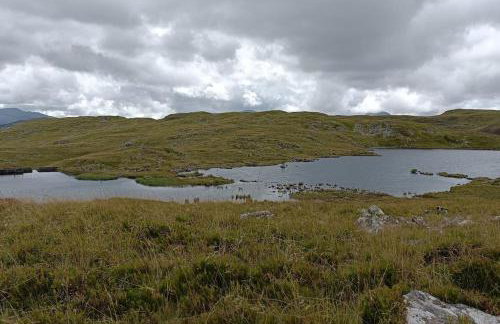 299 Willow Lodge - Foto 48