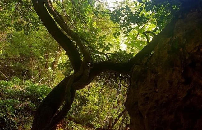 La Cabane Des Amoureux - Foto 70