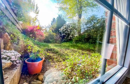 Ferienwohnung Im Sachsenwald - Foto 24