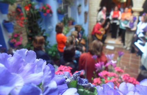 El patio azul Bohemio Mágico - Foto 63
