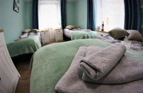 Apartamenty Zielone Centrum - Foto 3