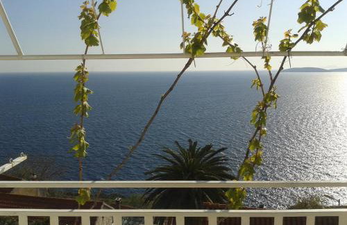 Apartmani SLAVKO TUKA - Foto 39