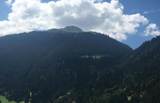 Apartment Near the Centre and ski Resort - Photo 38