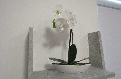 Apartman Megi & studio apartman Tomi - SELF CHECK IN - Foto 21