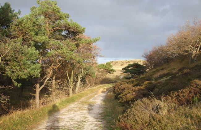 Cozy Cottage in Bergen With Terrace - Foto 46