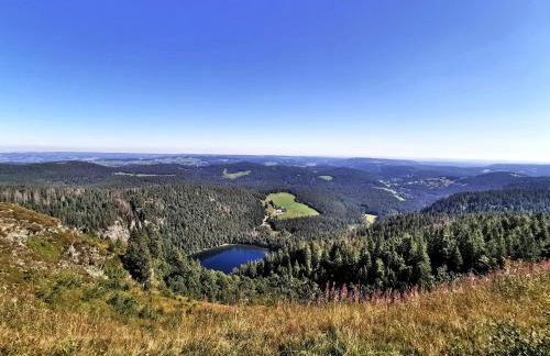 Ferienwohnung im Haus Rhea am Südhang- Feldberg- Falkau - Foto 18