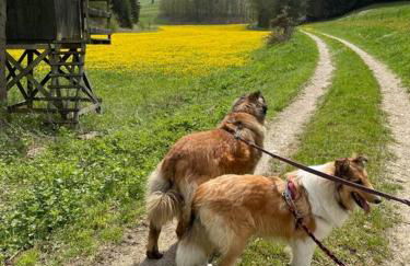 Ferienwohnung Aussicht, Monheimer Alb, Altmühltal - Foto 1