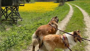 Ferienwohnung Aussicht, Monheimer Alb, Altmühltal - Foto 1