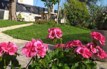 Apartment ire' - Foto 31