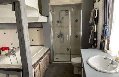 Chateau Chandler 17eme, Vallee de la Loire, Sologne, Centre Val de Loire - Foto 8