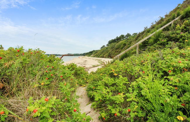 "Aida" - 400m from the sea - Photo 24