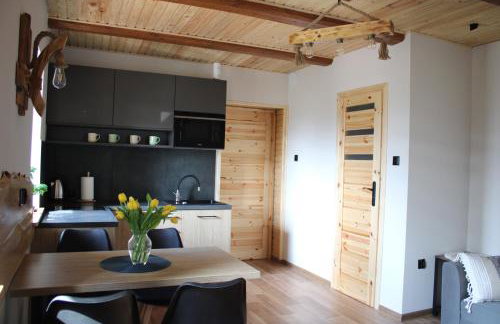 Górska Chata Lasówka - Foto 1