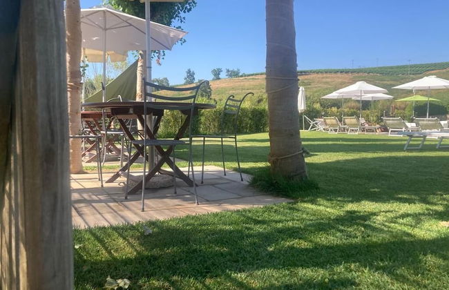 Gatto Bianco Tizzauli - Foto 47