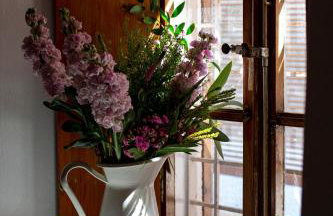 VILLA BIRIMIŠA LOPUD ISLAND - Photo 30