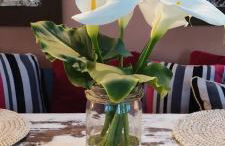 Casa Finca Doñana - Foto 51