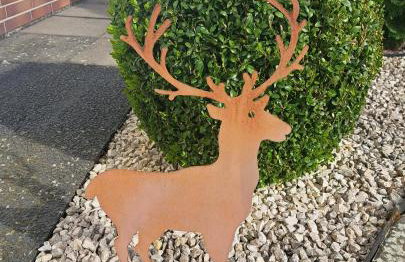 Pension Andrea - Photo 8