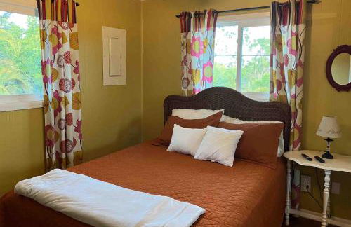 Franzone Fun - Foto 14