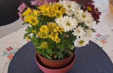 Apartamento completo com Wi-Fi, garagem em condomínio - Ideal para estadias tranquilas - Foto 14