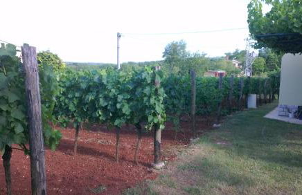 Apartment Ana - Foto 21