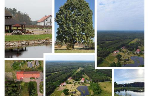 Gospodarstwo Agroturystyczne Zasadkowe Bory - Foto 42