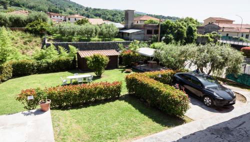 Il gatto e la volpe 1 - Foto 3, Garden