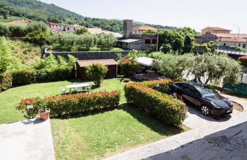 Il gatto e la volpe 1 - Foto 3