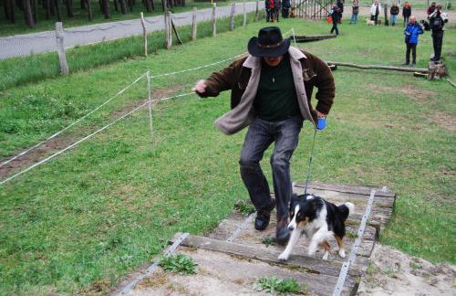 Ferienhaus Zum Pferdestall - Photo 15