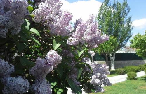 Casa Rural Las Tuyas en Segovia - Foto 6