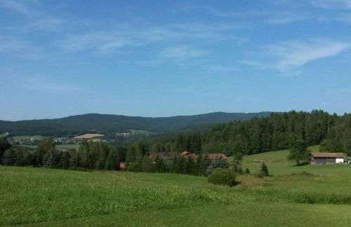 Apartment FeWo Steinbeisser by Interhome - Foto 31