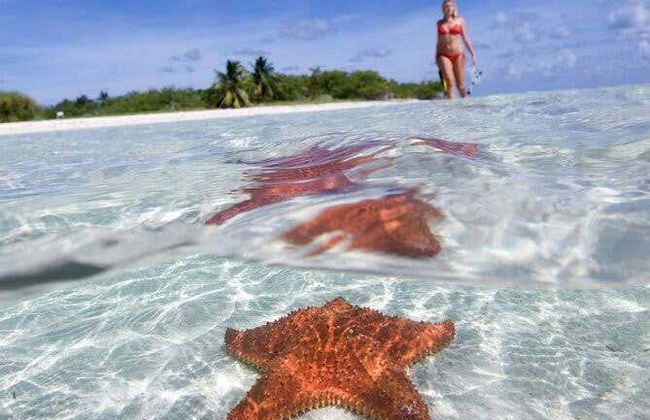 Cozumel Day Trip - Photo 1