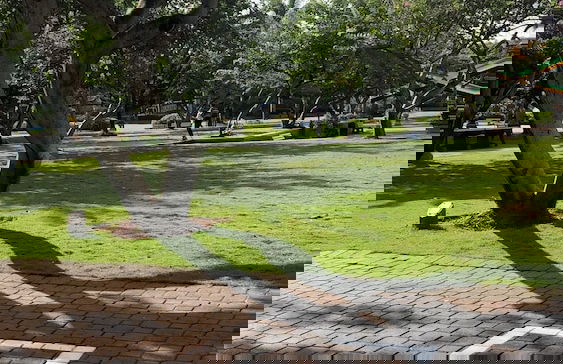 Kensington with pool - Photo 25