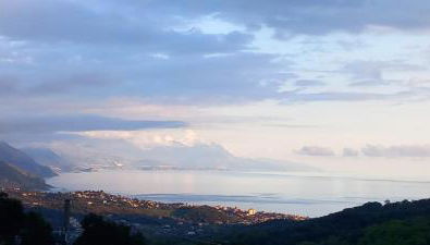 I Corbezzoli - Foto 2