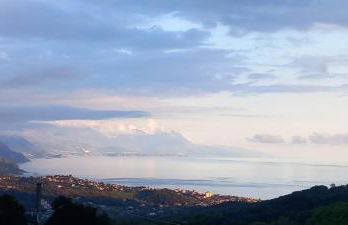 I Corbezzoli - Foto 2